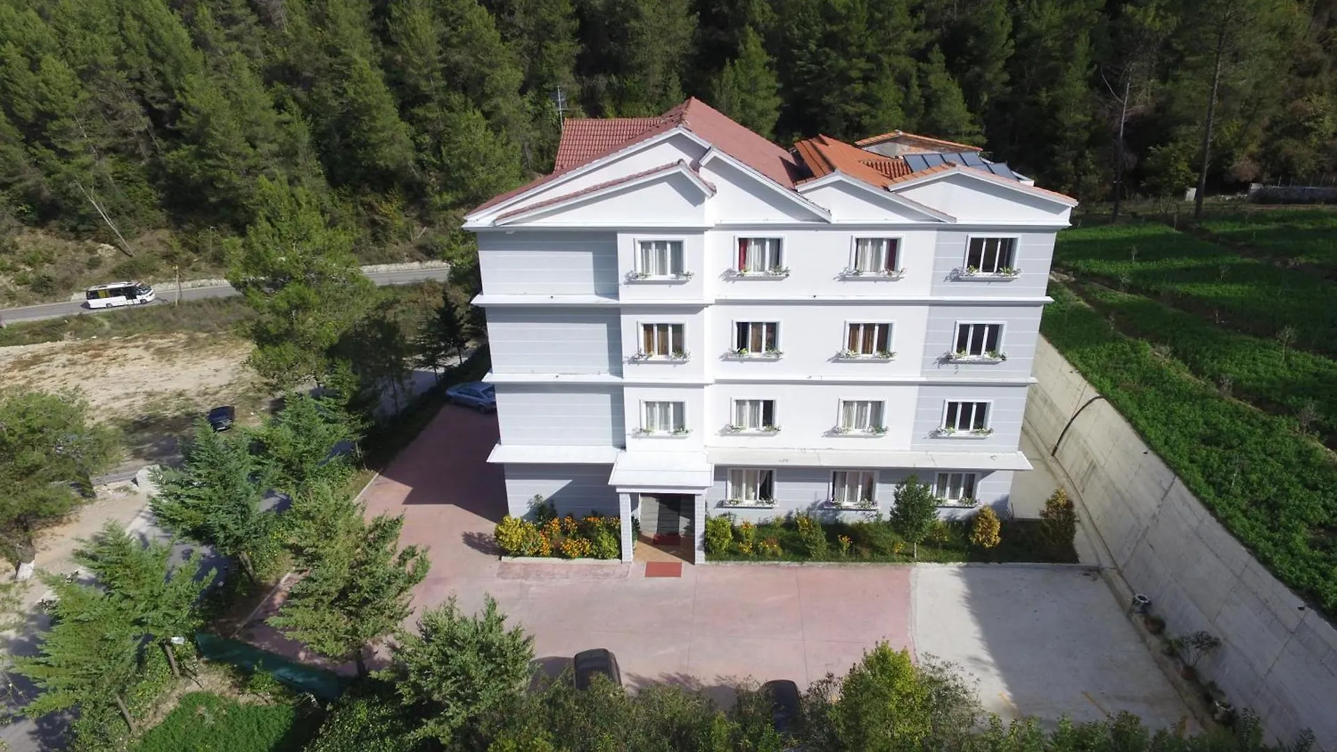 Hotel Elvis Mjull-Bethore